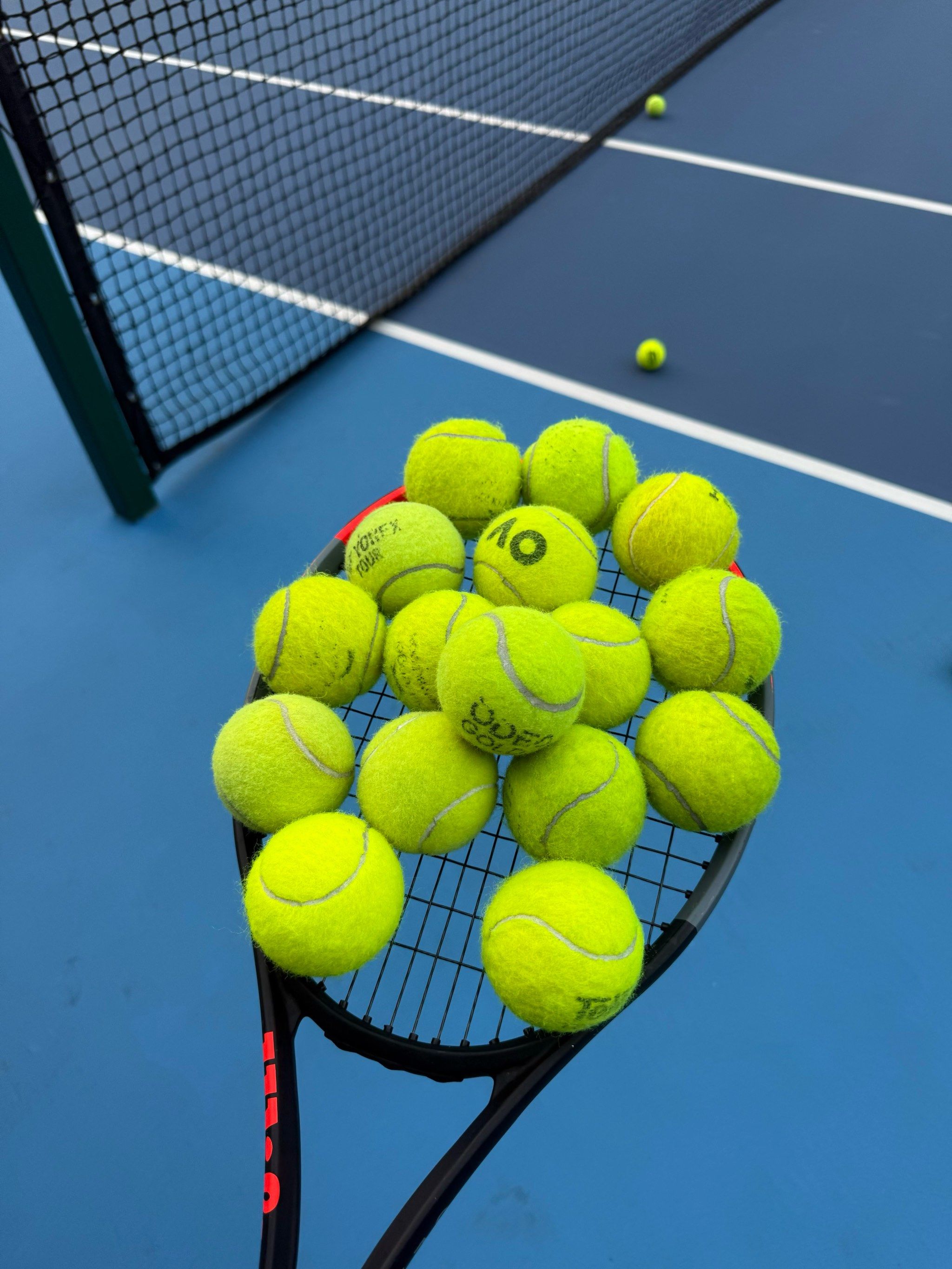 他们更是在 他们更是在