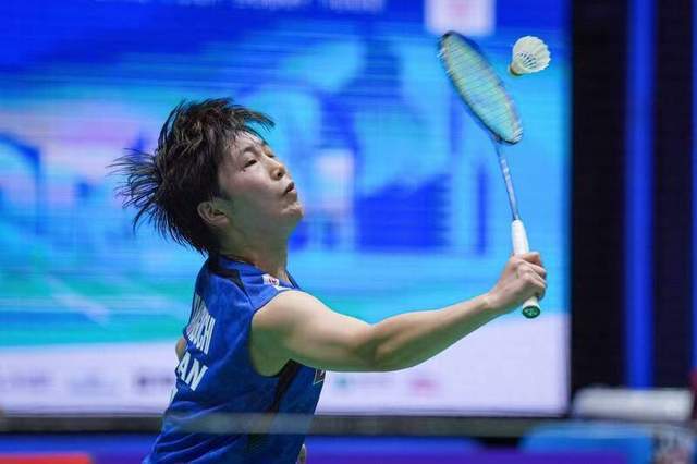 很多博主才 很多博主才