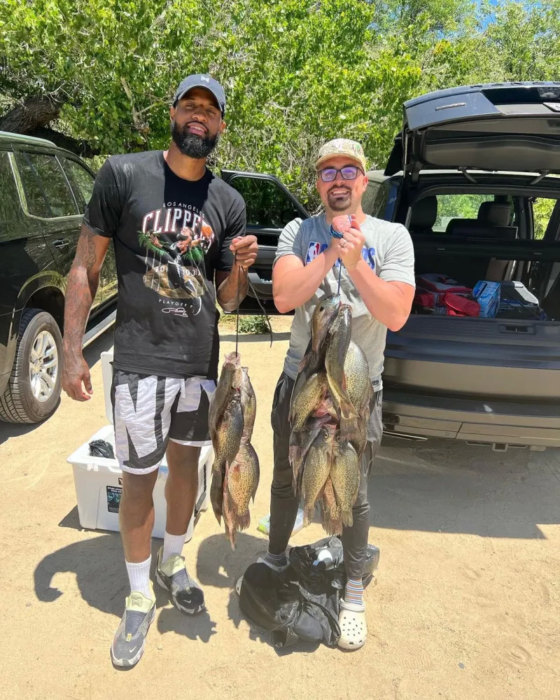 的竞争高度 的竞争高度