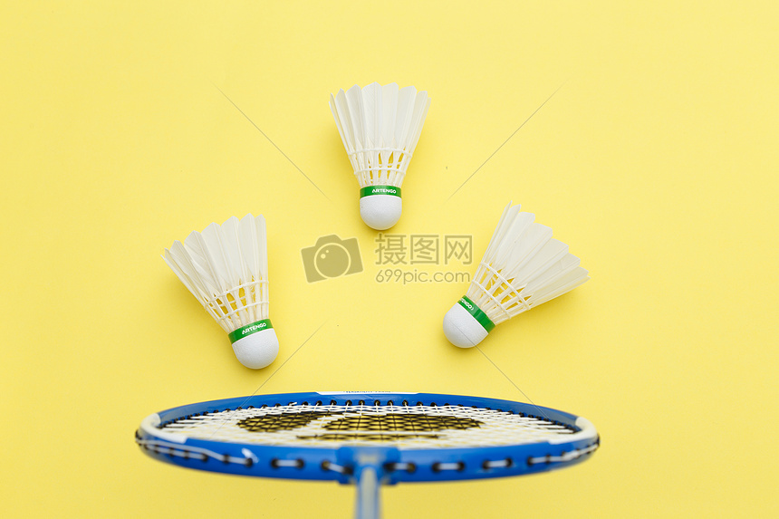 他在美国篮 他在美国篮