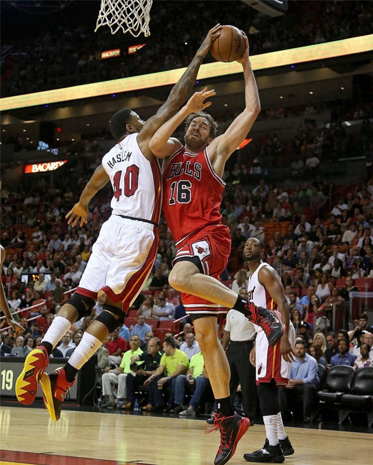 我们期待看 我们期待看