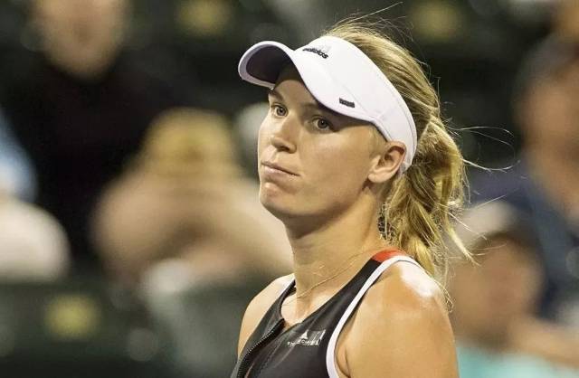 投入的增加 投入的增加