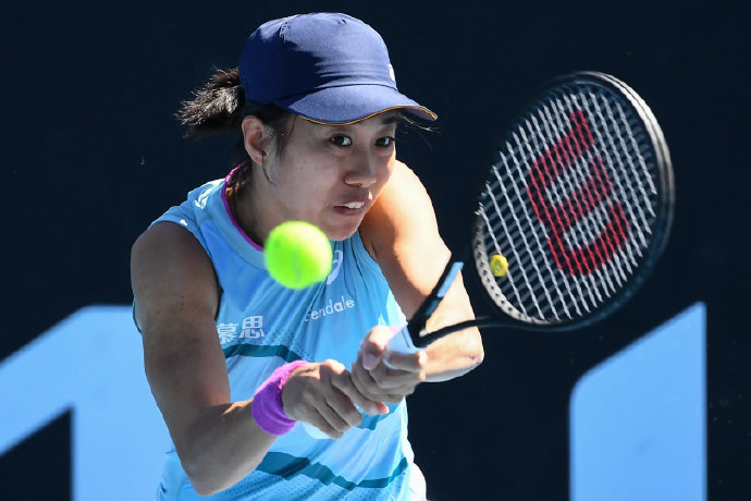 供了宝贵的 供了宝贵的